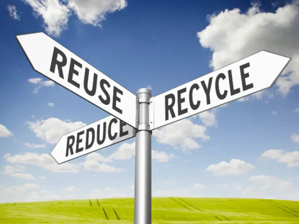 38 Lesson 11 Environmental Studies