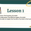leson1 Lesson 1 & 2 Proteins & Fat